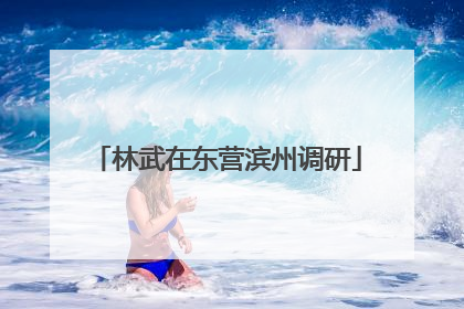 林武在东营滨州调研
