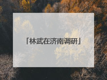 林武在济南调研