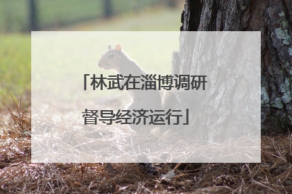 林武在淄博调研督导经济运行