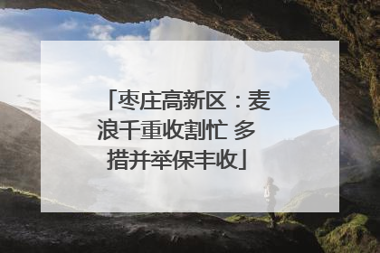 枣庄高新区：麦浪千重收割忙 多措并举保丰收