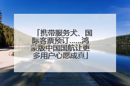 携带服务犬、国际客票预订……鸿蒙版中国国航让更多用户心愿成真