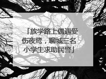 放学路上偶遇受伤夜鹭，聊城三名小学生求助民警