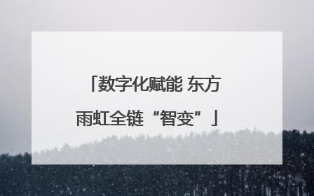 数字化赋能 东方雨虹全链“智变”