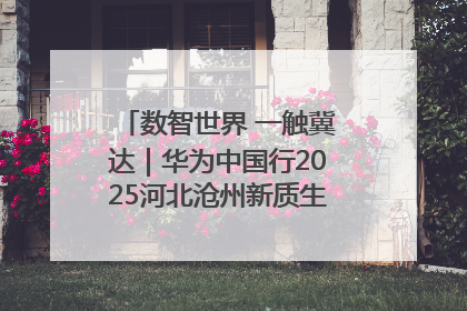 数智世界 一触冀达｜华为中国行2025河北沧州新质生产力峰会成功举办