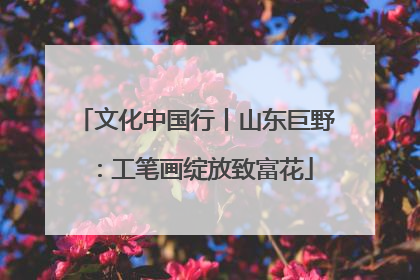 文化中国行丨山东巨野：工笔画绽放致富花