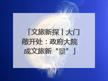 文旅新探丨大门敞开处：政府大院成文旅新“景”