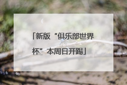 新版“俱乐部世界杯”本周日开踢