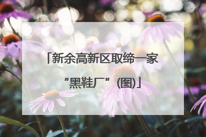 新余高新区取缔一家“黑鞋厂”(图)