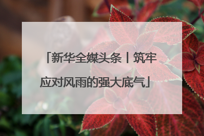 新华全媒头条丨筑牢应对风雨的强大底气
