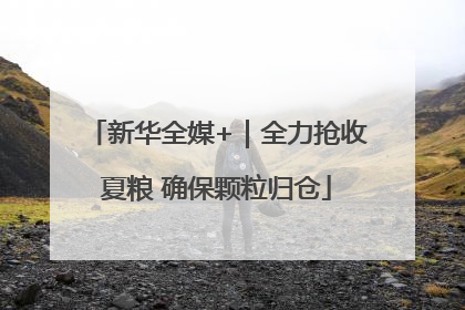 新华全媒+｜全力抢收夏粮 确保颗粒归仓