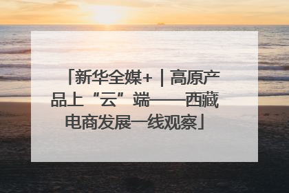 新华全媒+｜高原产品上“云”端——西藏电商发展一线观察