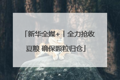 新华全媒+丨全力抢收夏粮 确保颗粒归仓