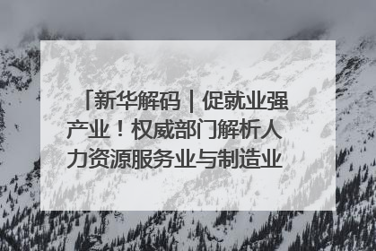新华解码｜促就业强产业！权威部门解析人力资源服务业与制造业融合发展试点