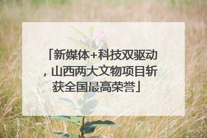 新媒体+科技双驱动，山西两大文物项目斩获全国最高荣誉