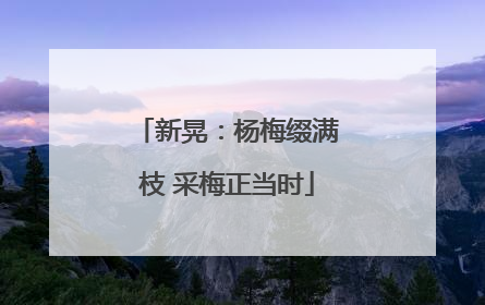 新晃：杨梅缀满枝 采梅正当时