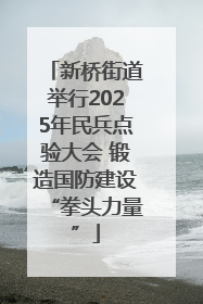 新桥街道举行2025年民兵点验大会 锻造国防建设“拳头力量”