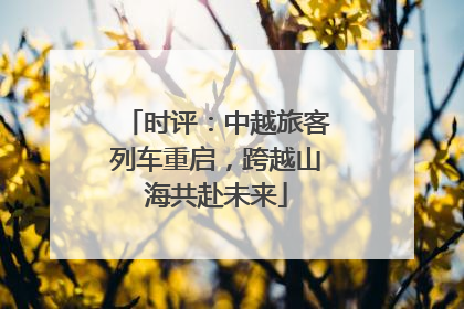 时评：中越旅客列车重启，跨越山海共赴未来