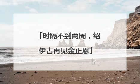 时隔不到两周，绍伊古再见金正恩