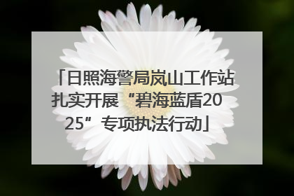 日照海警局岚山工作站扎实开展“碧海蓝盾2025”专项执法行动
