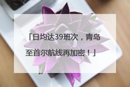 日均达39班次，青岛至首尔航线再加密！