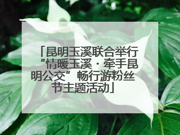 昆明玉溪联合举行“情暖玉溪・牵手昆明公交”畅行游粉丝节主题活动