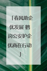 春风助企优发展 鹤岗公安护企优商在行动