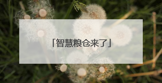 智慧粮仓来了