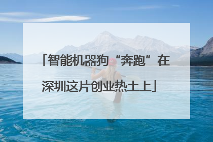智能机器狗“奔跑”在深圳这片创业热土上