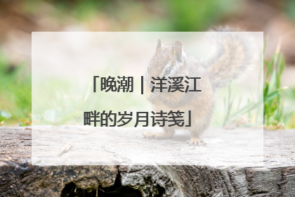 晚潮｜洋溪江畔的岁月诗笺