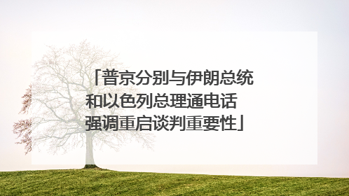 普京分别与伊朗总统和以色列总理通电话 强调重启谈判重要性