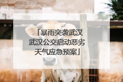 暴雨突袭武汉 武汉公交启动恶劣天气应急预案