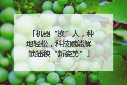 机器“换”人，种地轻松，科技赋能解锁插秧“新姿势”