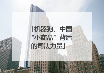 机器狗、中国“小商品”背后的司法力量