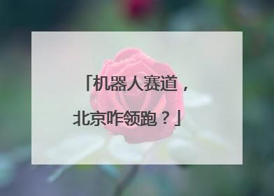 机器人赛道，北京咋领跑？