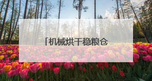 机械烘干稳粮仓，夏收夏种一体化！“三夏”生产跑出加速度｜麦报