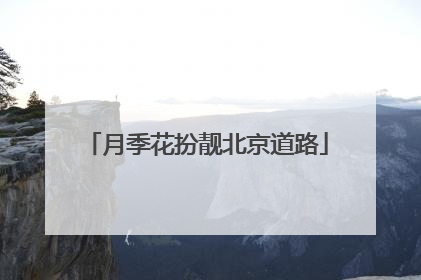 月季花扮靓北京道路
