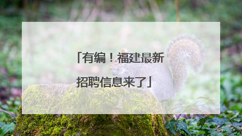 有编！福建最新招聘信息来了