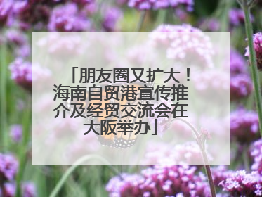 朋友圈又扩大！海南自贸港宣传推介及经贸交流会在大阪举办