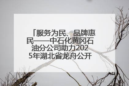 服务为民、品牌惠民——中石化黄冈石油分公司助力2025年湖北省龙舟公开赛（黄冈站）