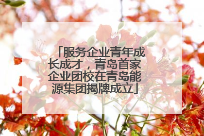 服务企业青年成长成才，青岛首家企业团校在青岛能源集团揭牌成立