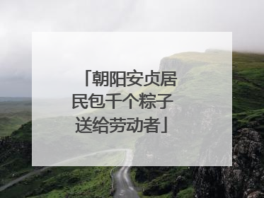 朝阳安贞居民包千个粽子送给劳动者