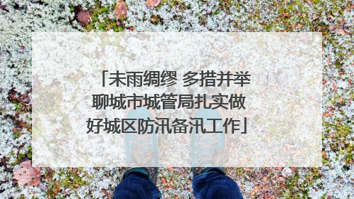 未雨绸缪 多措并举 聊城市城管局扎实做好城区防汛备汛工作