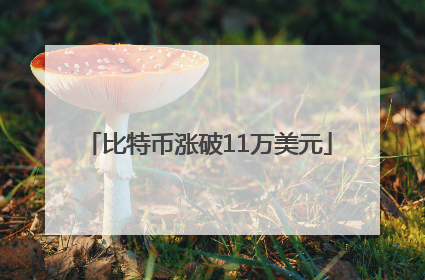 比特币涨破11万美元