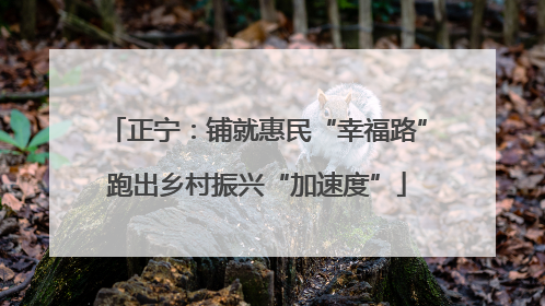 正宁：铺就惠民“幸福路”跑出乡村振兴“加速度”