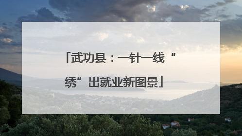 武功县：一针一线“绣”出就业新图景