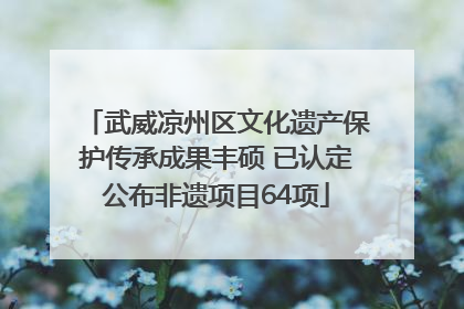 武威凉州区文化遗产保护传承成果丰硕 已认定公布非遗项目64项