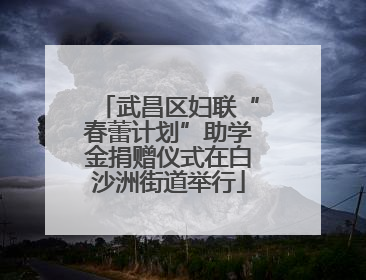 武昌区妇联“春蕾计划”助学金捐赠仪式在白沙洲街道举行