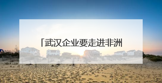武汉企业要走进非洲，非洲女生想长居武汉 高水平对外开放推动鄂非双向奔赴