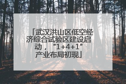 武汉洪山区低空经济综合试验区建设启动，“1+4+1”产业布局初现