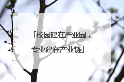 校园建在产业园，专业建在产业链